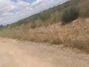 Residential Stand for Sale