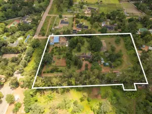 Commercial Stand for Sale