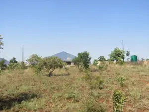 Residential Stand for Sale