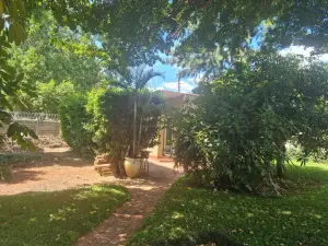 6 Bedroom House to Rent in Avondale West