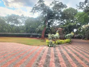 4 Bedroom House to Rent in Greendale