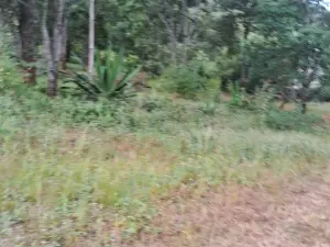 Residential Stand for Sale