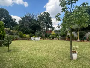 4 Bedroom House to Rent in Alexandra Park