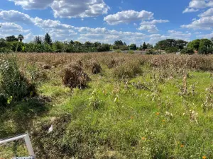 Residential Stand for Sale