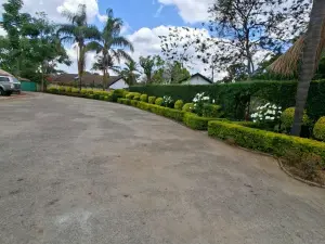 Flat/Apartment to Rent in Avondale