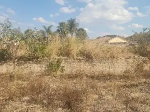 Residential Stand for Sale