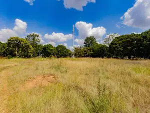 Commercial Stand to Rent in Harare City Centre