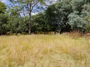 Commercial Stand to Rent in Harare City Centre