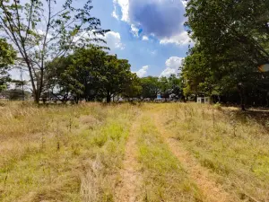 Commercial Stand to Rent in Harare City Centre