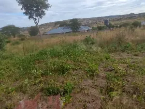 Residential Stand for Sale