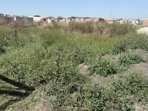 Residential Stand for Sale