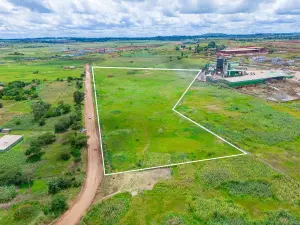 Commercial Stand for Sale