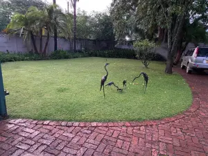 1 Bedroom Cottage/Garden Flat to Rent in Chisipite