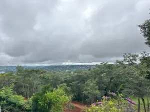 1 Bedroom Cottage/Garden Flat to Rent in Helensvale