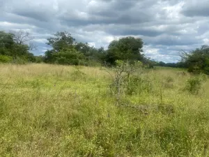Residential Stand for Sale