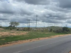 Commercial Stand for Sale