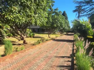 3 Bedroom House to Rent in Marlborough