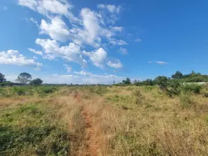 Residential Stand for Sale