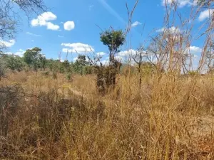 Farm/Plot for Sale