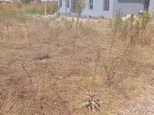 Residential Stand for Sale
