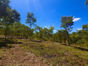Farm/Plot for Sale
