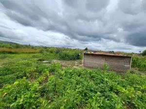 Residential Stand for Sale