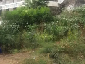 Residential Stand for Sale