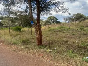 Residential Stand for Sale