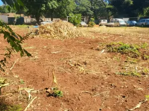 Residential Stand for Sale