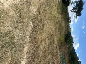 Residential Stand for Sale