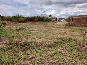 Residential Stand for Sale