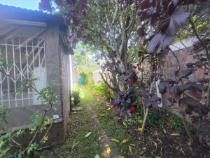 2 Bedroom Cottage/Garden Flat to Rent in Avondale