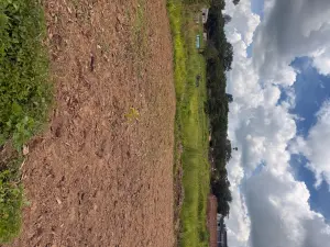 Residential Stand for Sale