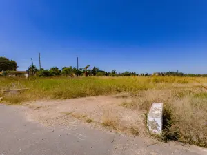 Commercial Stand for Sale