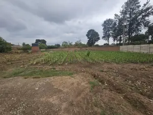 Residential Stand for Sale