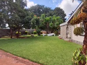 4 Bedroom House to Rent in Hillside