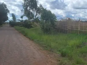 Commercial Stand for Sale