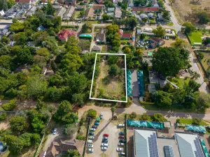 Commercial Stand for Sale