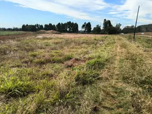 Commercial Stand for Sale