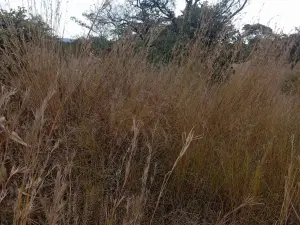 Residential Stand for Sale
