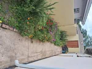 3 Bedroom House to Rent in Waterfalls