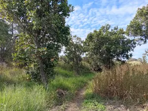 Farm/Plot for Sale
