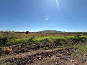 Residential Stand for Sale