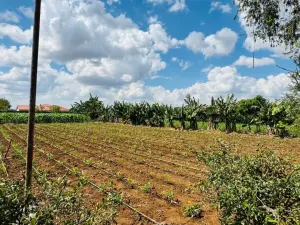 Farm/Plot for Sale