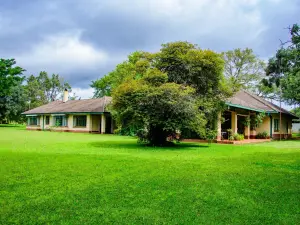 Farm/Plot for Sale