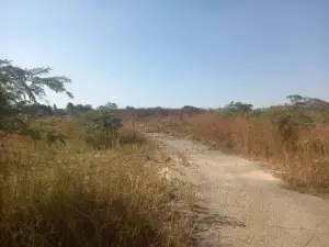 Residential Stand for Sale