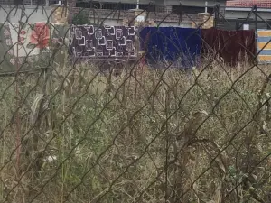 Residential Stand for Sale