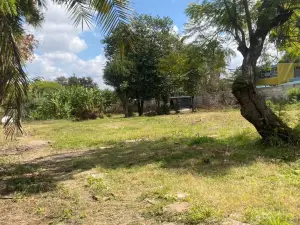 Commercial Stand for Sale