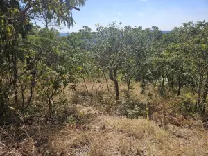 Residential Stand for Sale