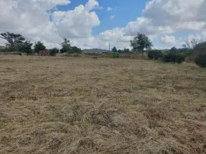 Residential Stand for Sale